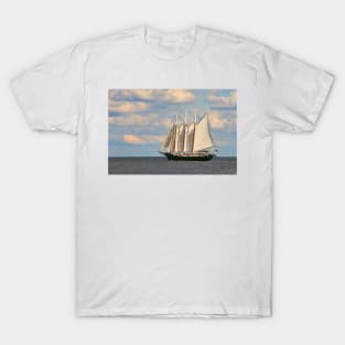 Alliance sets sail T-Shirt